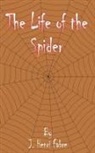 Jean-Henri Fabre - The Life of the Spider