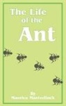 Maurice Maeterlinck - The Life of the Ant