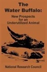 National Research Council - The Water Buffalo