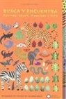 Various - Busca Y Encuentra Formas, Rayas, Manchas Y Mas