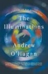 Andrew O'Hagan - Illuminations