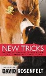 Davi Rosenfelt, David Rosenfelt - New Tricks