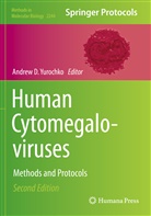 Andrew D Yurochko, Andrew D. Yurochko - Human Cytomegaloviruses