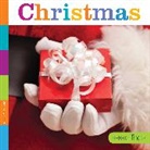 Lori Dittmer - Christmas