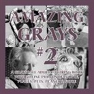 Islander Coloring, Aaron Shepard, Anne L. Watson - Amazing Grays #2