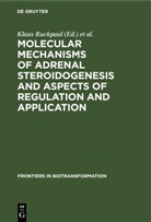 Horst Rein, Klaus Ruckpaul - Molecular mechanisms of adrenal steroidogenesis and aspects of regulation and application