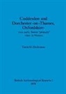 Tania M. Dickinson - Cuddesdon and Dorchester-on-Thames, Oxfordshire - two early Saxon 'princely' sites in Wessex