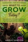 Amelie Sampson - Gardening For Beginners