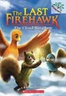 Katrina Charman, Judit Tondora - The Cloud Kingdom: A Branches Book (the Last Firehawk #7)