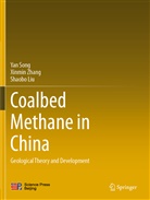 Shaobo Liu, Yan Song, Xinmin Zhang - Coalbed Methane in China