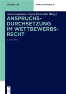Arno Lampmann, Mark Lerach, Evgeny Pustovalov, Arno Lampmann, Pustovalov, Evgeny Pustovalov - Anspruchsdurchsetzung im Wettbewerbsrecht