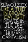 Slavoj Zizek - Like a Thief in Broad Daylight: Power in the Era of Post-Human Capitalism