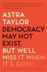 Astra Taylor - Democracy May Not Exist, But We'll Miss It When It's Gone