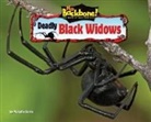 Natalie Lunis - Deadly Black Widows
