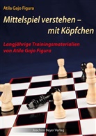 Atila Gajo Figura, Robert Ullrich - Mittelspiel verstehen - mit Köpfchen