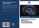Alireza Javan Amoli - Analyse von neuronalen Netzen bei unterschiedlichen Verhaltensweisen