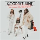 Goodbye June - See Where The Night Goes, 1 Audio-CD (Audio book)
