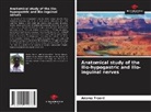 Abou Baye Ba, Nouhoum Ongoïba, Adama Traore - Anatomical study of the ilio-hypogastric and ilio-inguinal nerves