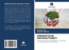 Gabriela Becker, Jéssica Cruz - ENERGETISCHE NACHHALTIGKEIT: