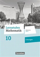 Lernstufen Mathematik - Mittelschule Bayern 2017 - 10. Jahrgangsstufe