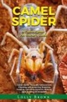 Lolly Brown - Camel Spider