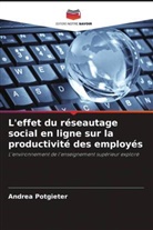 Andrea Potgieter - L'effet du réseautage social en ligne sur la productivité des employés