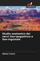 Abou Baye Ba, Nouhoum Ongoïba, Adama Traore - Studio anatomico dei nervi ileo-ipogastrico e ileo-inguinale