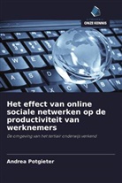Andrea Potgieter - Het effect van online sociale netwerken op de productiviteit van werknemers