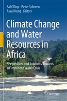Salif Diop, Awa Niang, Peter Scheren - Climate Change and Water Resources in Africa