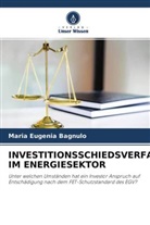 Maria Eugenia Bagnulo - INVESTITIONSSCHIEDSVERFAHREN IM ENERGIESEKTOR