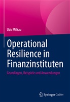Udo Milkau - Operational Resilience in Finanzinstituten