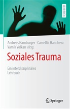 HAMBURGER, Andreas Hamburger, Camellia Hancheva, Vamik Volkan, Vamık Volkan - Soziales Trauma