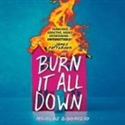 Nicolas DiDomizio, Mark Sanderlin - Burn It All Down (Livre audio)