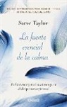 Steve Taylor - Fuente Esencial de la Calma, La