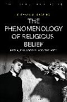Michael J Shapiro, Michael J. Shapiro, Arthur Bradley, Michael Dillon - The Phenomenology of Religious Belief