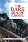Wendell Vanderbilt Fountain - The Dark Side of Carmel