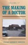 Julius Adebiyi Sodipo - The Making of a Doctor