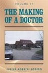 Julius Adebiyi Sodipo - The Making of a Doctor