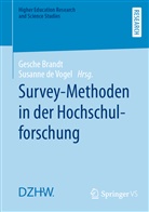 Gesche Brandt, de Vogel, Susanne de Vogel - Survey-Methoden in der Hochschulforschung