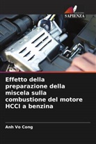 Anh Vo Cong - Effetto della preparazione della miscela sulla combustione del motore HCCI a benzina