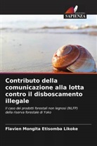 Flavien Mongita Etisomba Likoke - Contributo della comunicazione alla lotta contro il disboscamento illegale