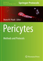 Bruno M Péault, Bruno M. Péault - Pericytes
