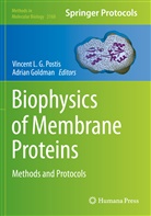 Goldman, Adrian Goldman, Vincent L G Postis, Vincent L. G. Postis - Biophysics of Membrane Proteins