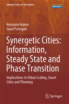 Hermann Haken, Juval Portugali - Synergetic Cities: Information, Steady State and Phase Transition