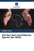 Falilou Cissé - Auf den fast unsichtbaren Spuren der NGOs
