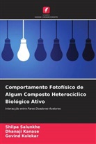 Dhanaji Kanase, Govind Kolekar, Shilpa Salunkhe - Comportamento Fotofísico de Algum Composto Heterocíclico Biológico Ativo