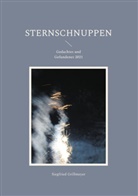 Siegfried Grillmeyer - Sternschnuppen