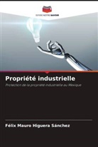 Félix Mauro Higuera Sánchez - Propriété industrielle
