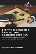 Sylvain Nkate Tshiesese - Il diritto all'ambiente e il contenzioso ambientale nella RDC