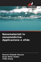 Hassen Kebede Hassen, Yildiz Ozalp, Asiye Nehir Ozden - Nanomateriali in nanomedicina: Applicazione e sfide